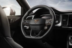 Cupra Ateca 2020 года  (WW)